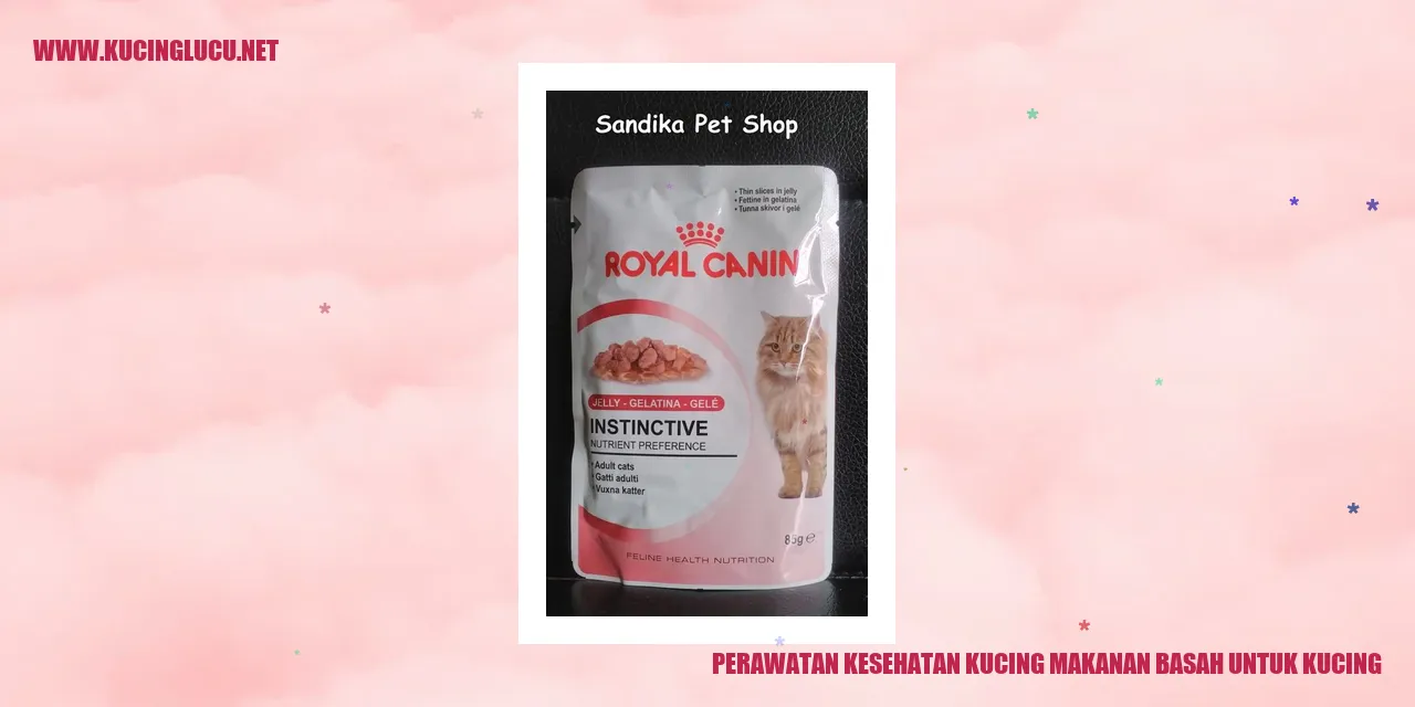 Perawatan Kesehatan Kucing makanan basah untuk kucing