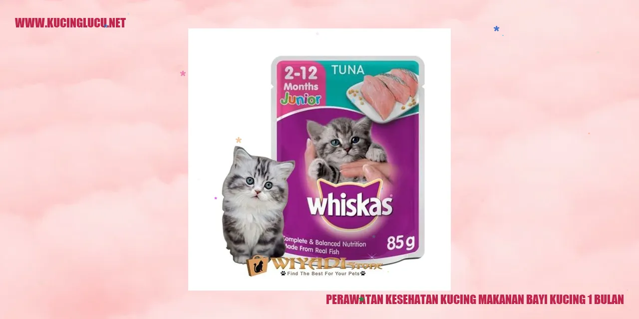 Perawatan Kesehatan Kucing - Makanan Bayi Kucing 1 Bulan