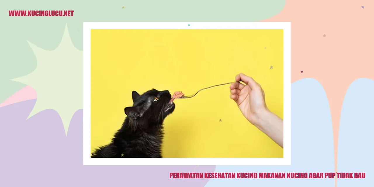 Perawatan Kesehatan Kucing