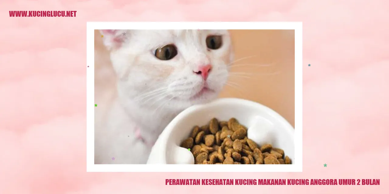 Perawatan Kesehatan Kucing