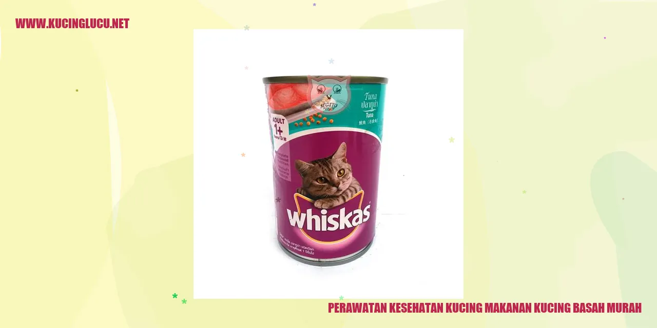 Perawatan Kesehatan Kucing Makanan Kucing Basah Murah