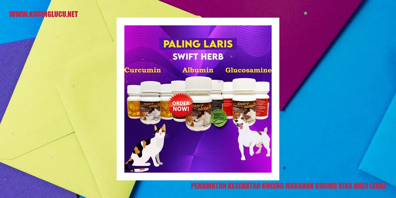 Kucing dengan bulu lebat