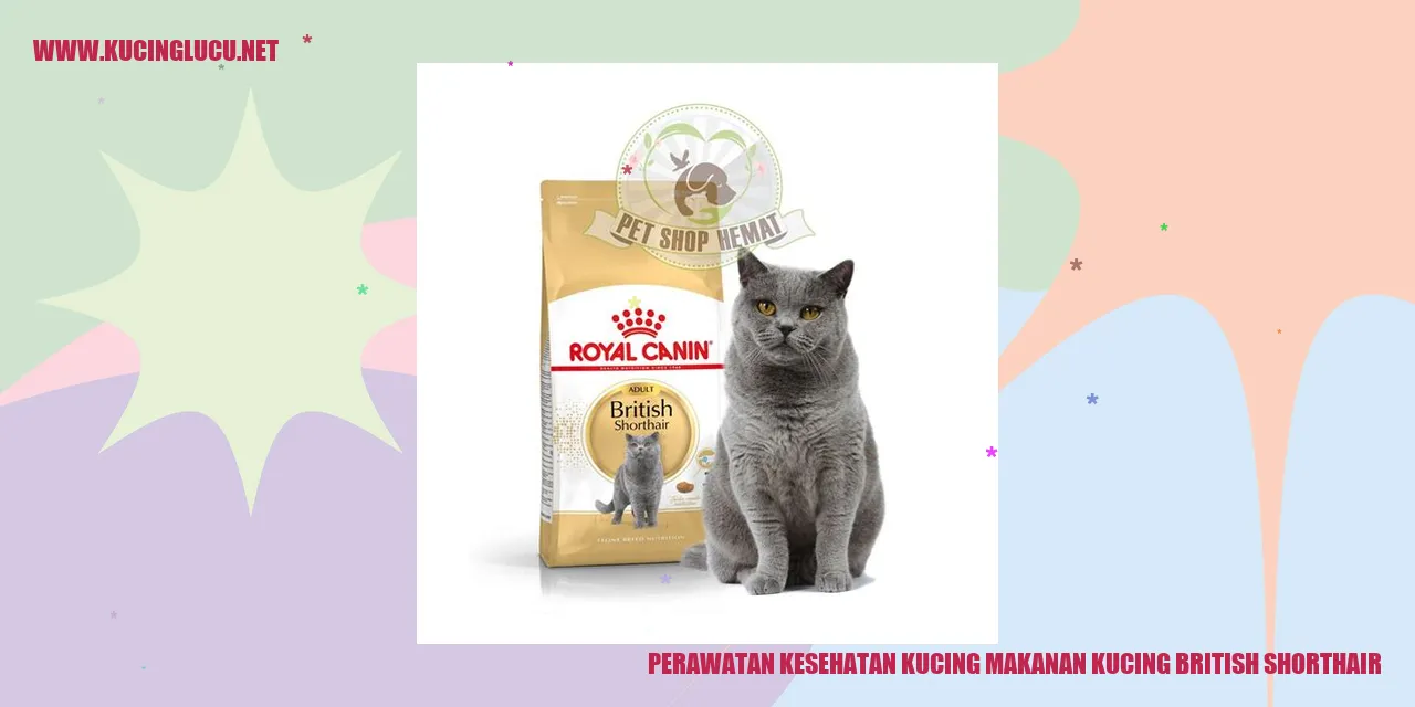 Perawatan Kesehatan Kucing