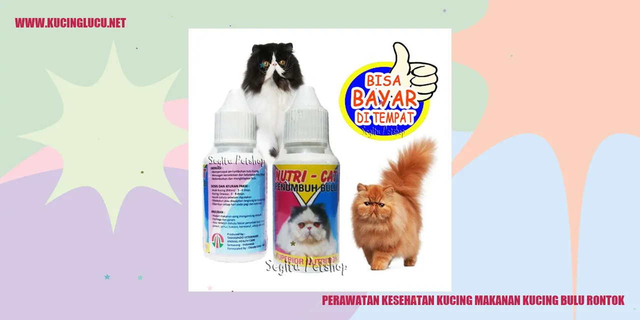 Perawatan Kesehatan Kucing makanan kucing bulu rontok