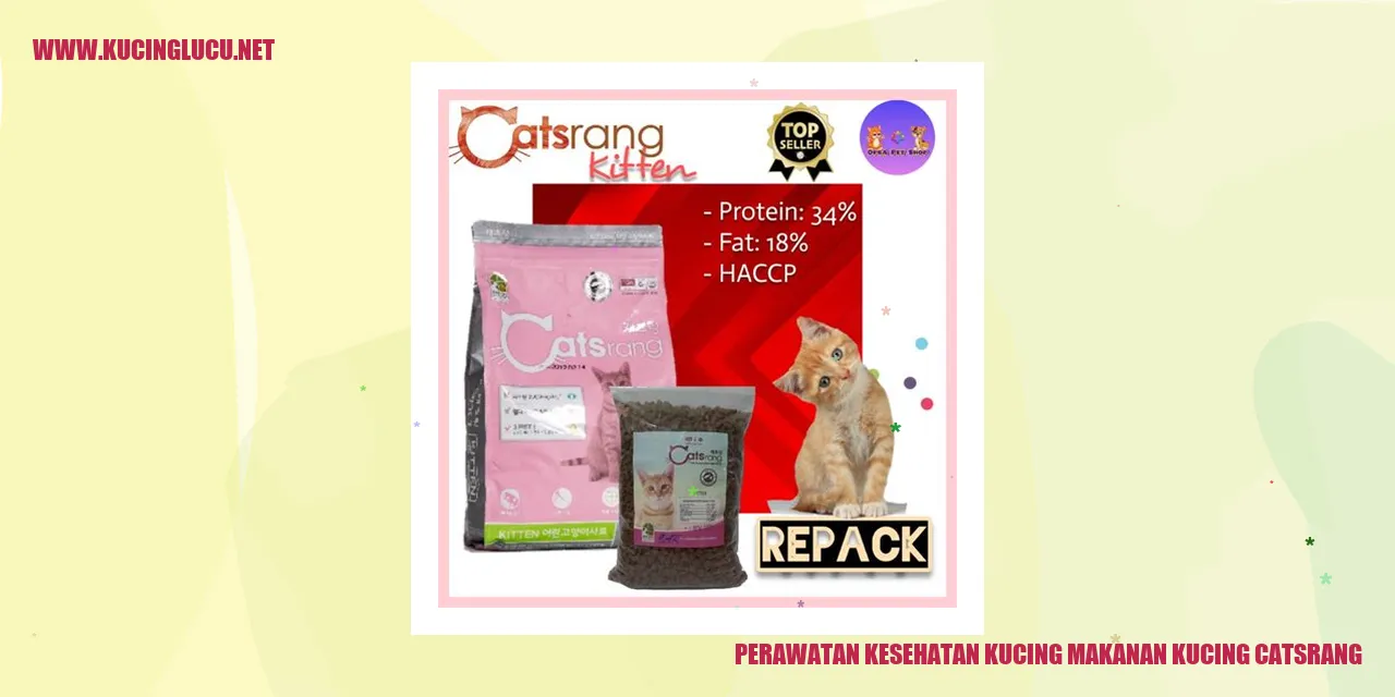 Perawatan Kesehatan Kucing