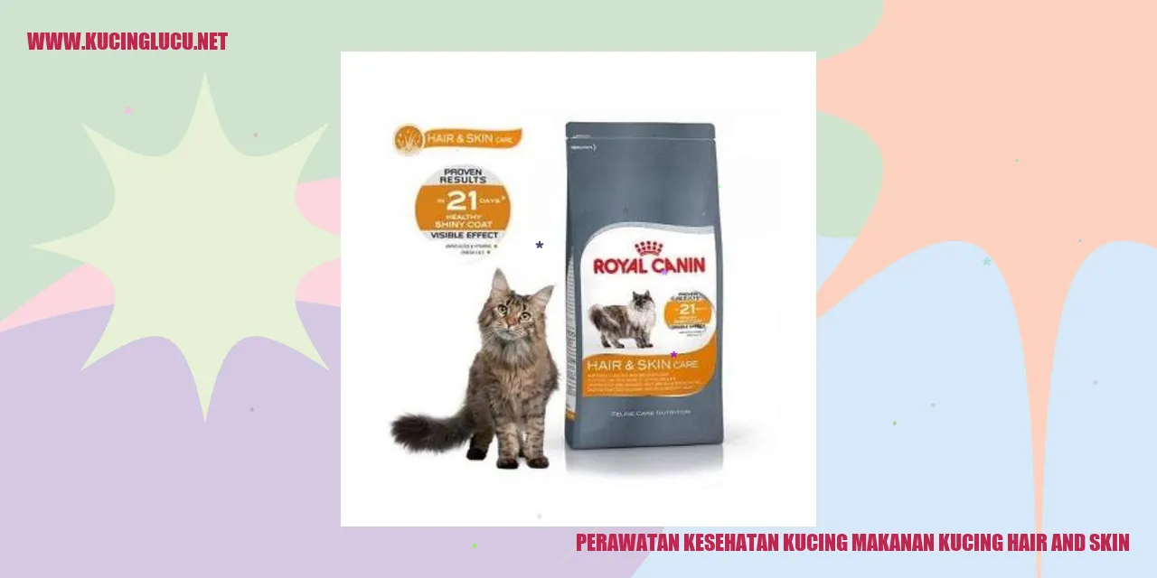 Perawatan Kesehatan Kucing dengan Makanan Kucing Hair and Skin