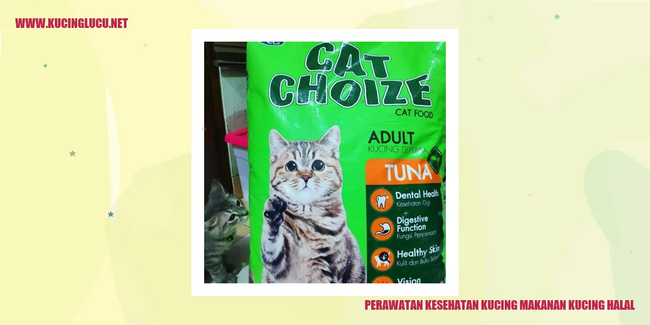 Gambar kucing yang sehat dan bahagia