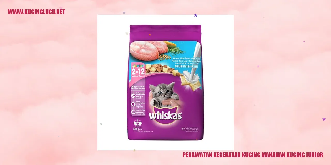 Perawatan Kesehatan Kucing dengan Makanan Kucing Junior