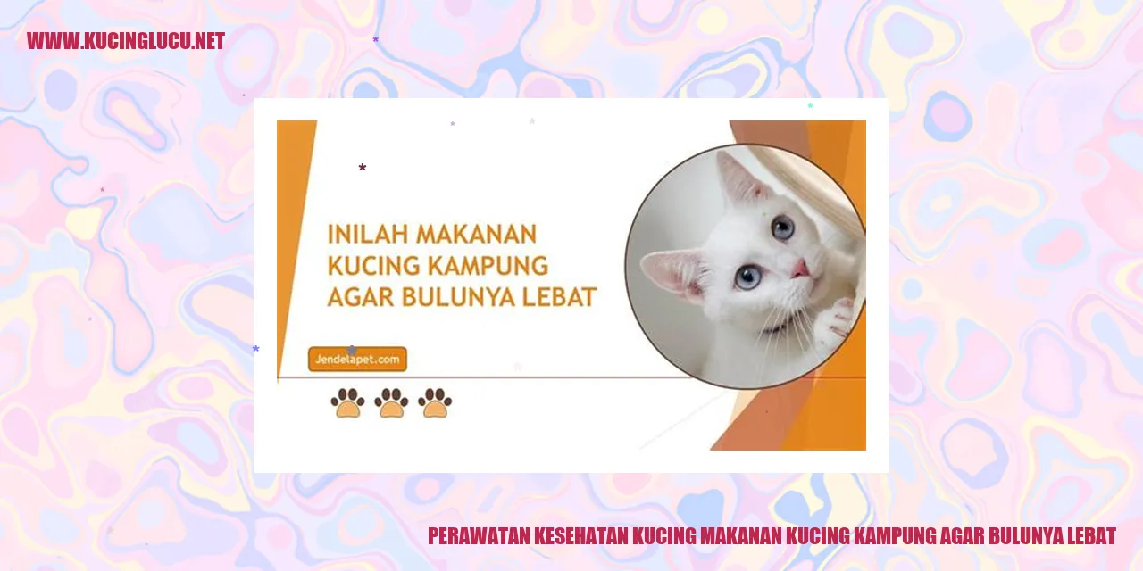 gambar kucing yang sehat