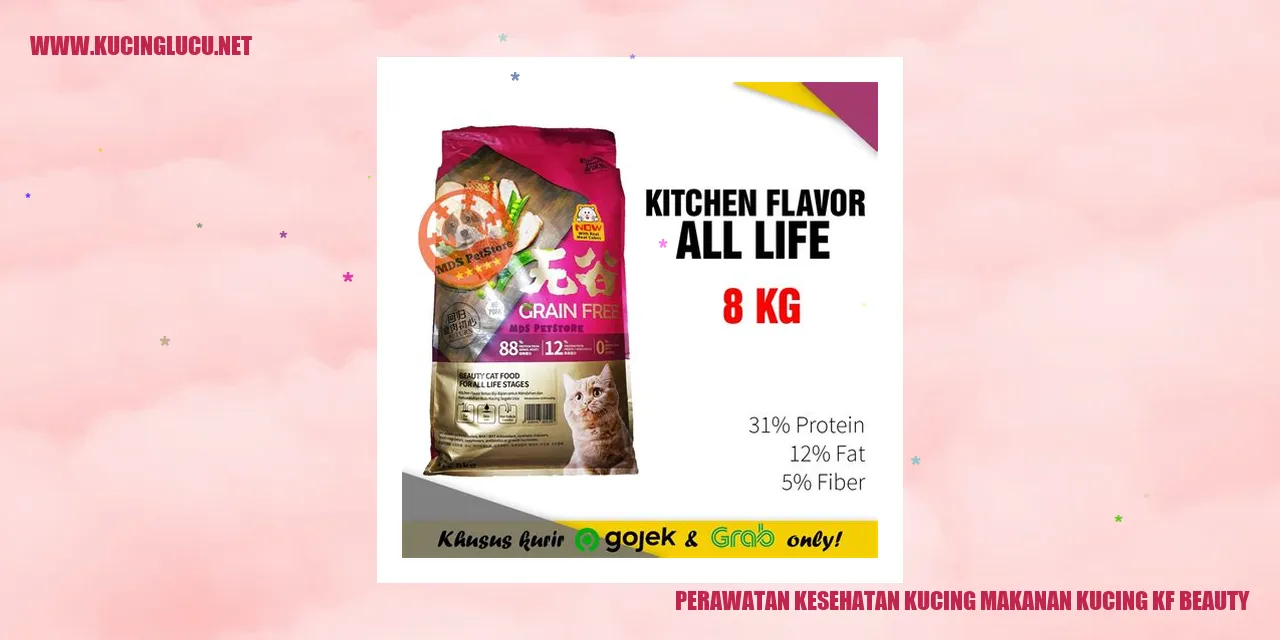 Perawatan Kesehatan Kucing
