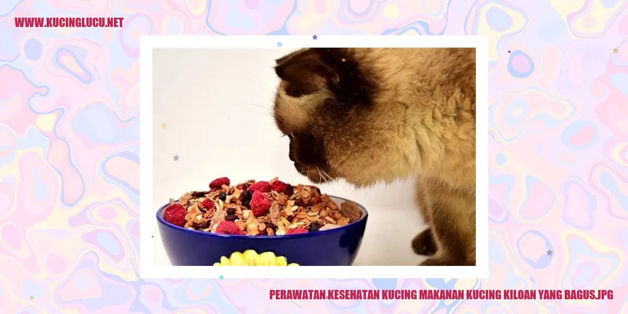 Perawatan Kesehatan Kucing dengan Makanan Kucing Kiloan yang Bagus