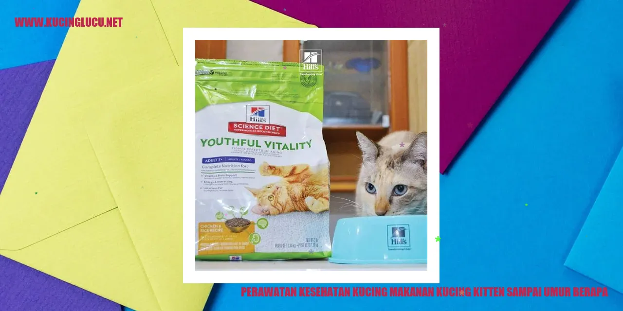 Perawatan Kesehatan Kucing