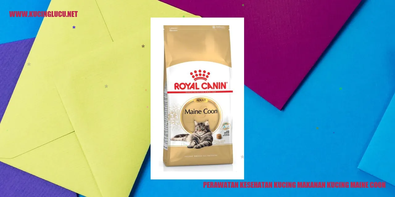 Perawatan Kesehatan Kucing Maine Coon