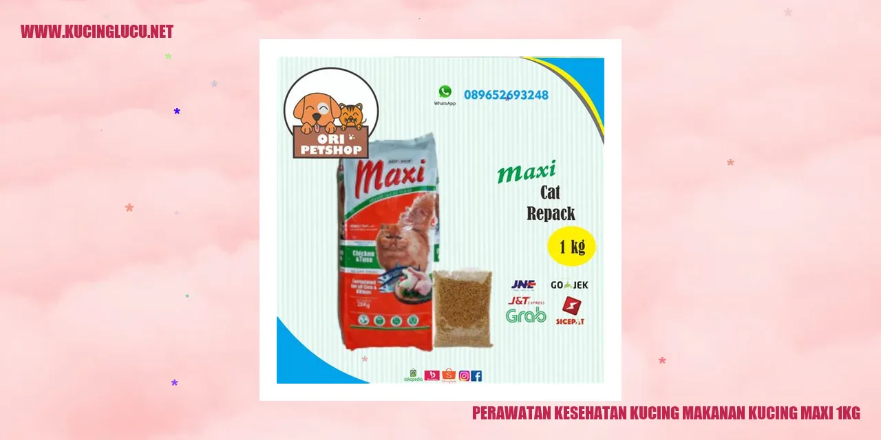 Perawatan Kesehatan Kucing dengan Makanan Kucing Maxi 1kg