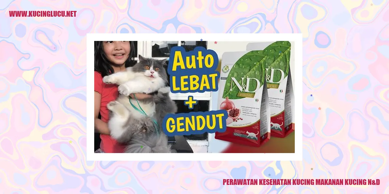 Perawatan Kesehatan Kucing