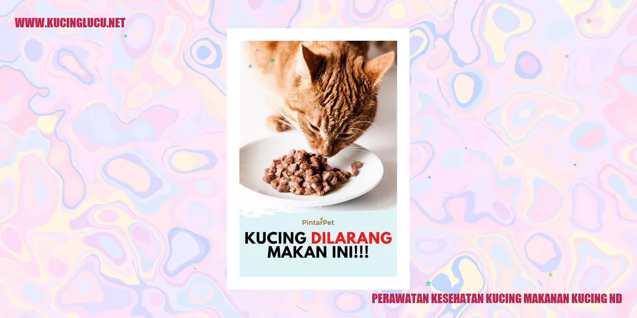 Kucing yang sehat