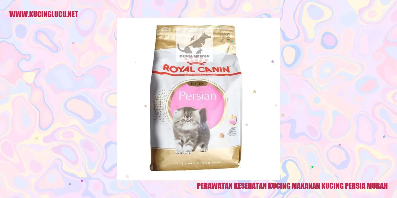 Perawatan Kesehatan Kucing