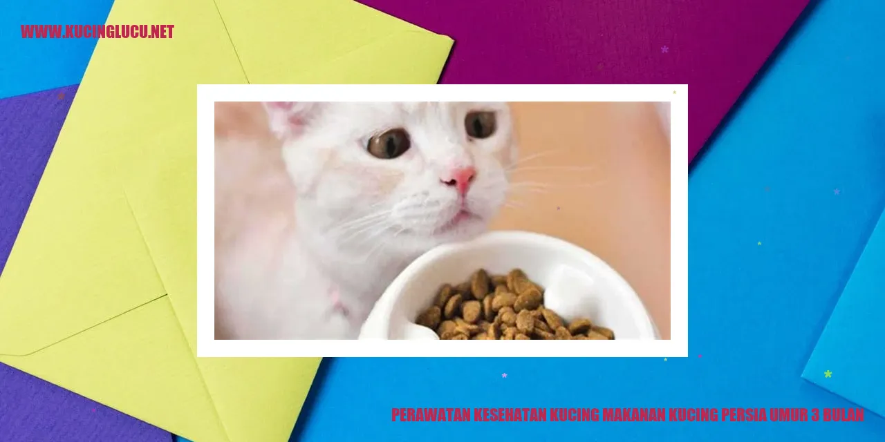 Perawatan Kesehatan Kucing Persia Umur 3 Bulan
