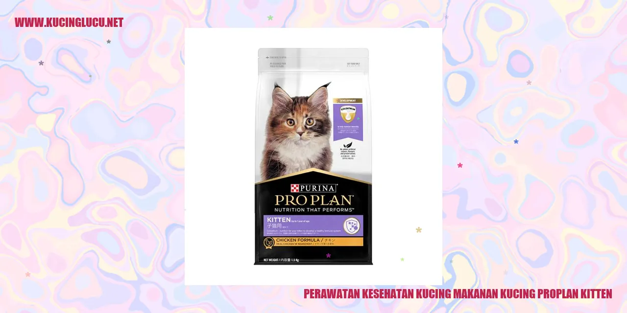Gambar Kucing