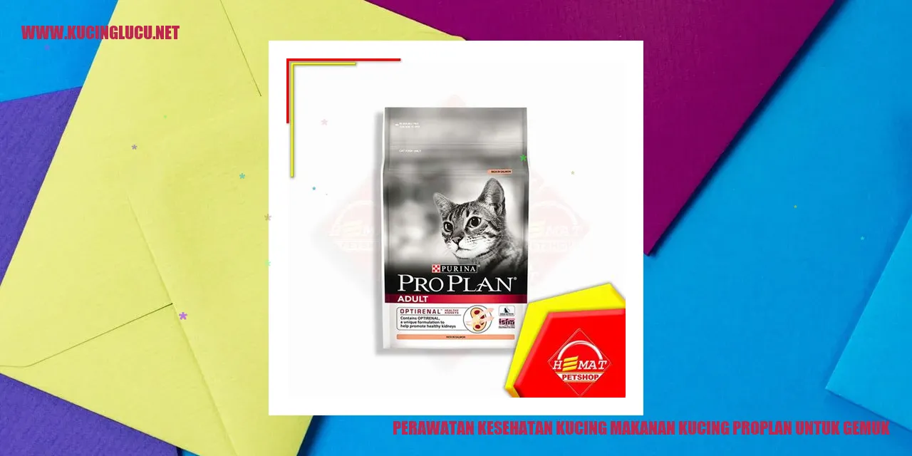 Perawatan Kesehatan Kucing dengan Makanan Kucing Proplan untuk Gemuk