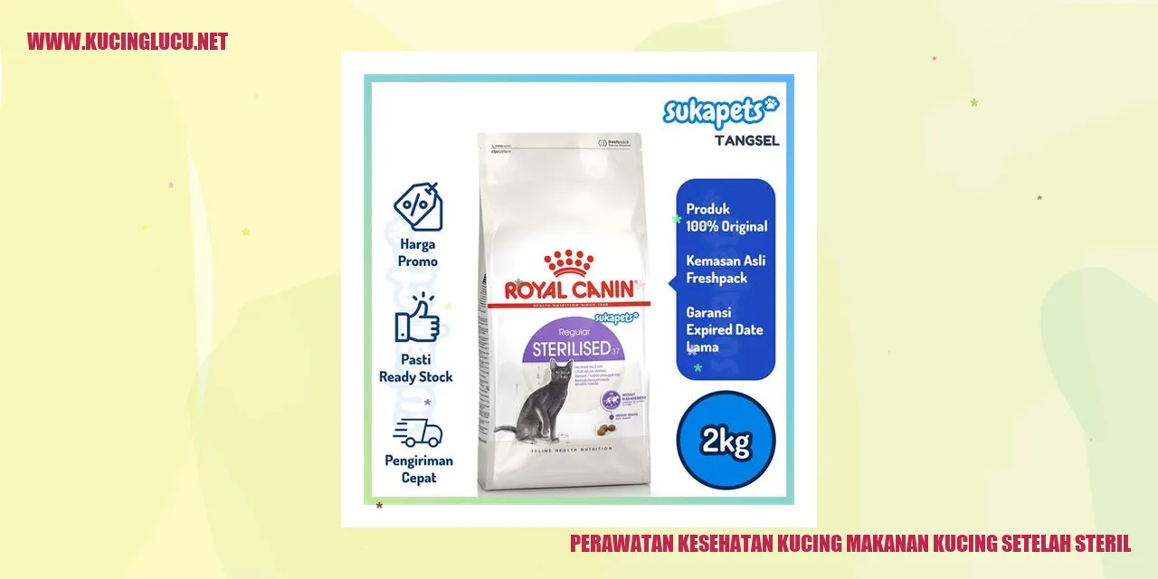 Perawatan Kesehatan Kucing: Makanan Kucing Setelah Steril