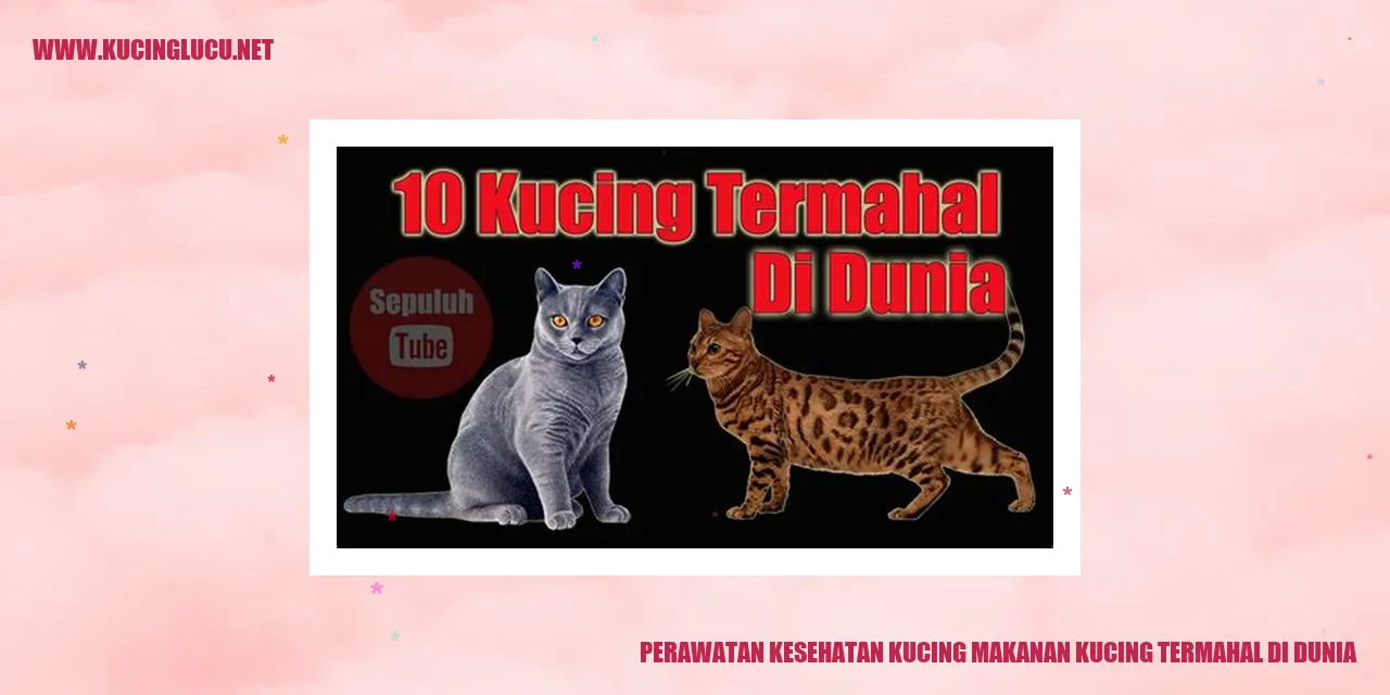 Perawatan Kesehatan Kucing