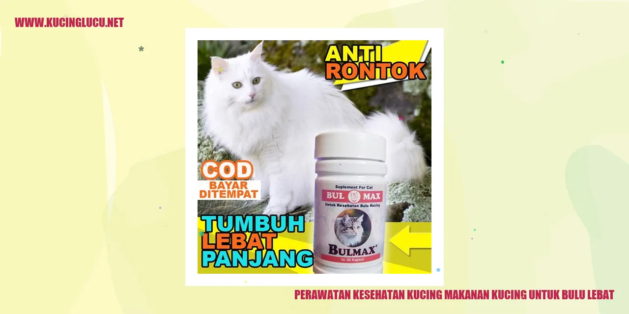 Perawatan Kesehatan Kucing