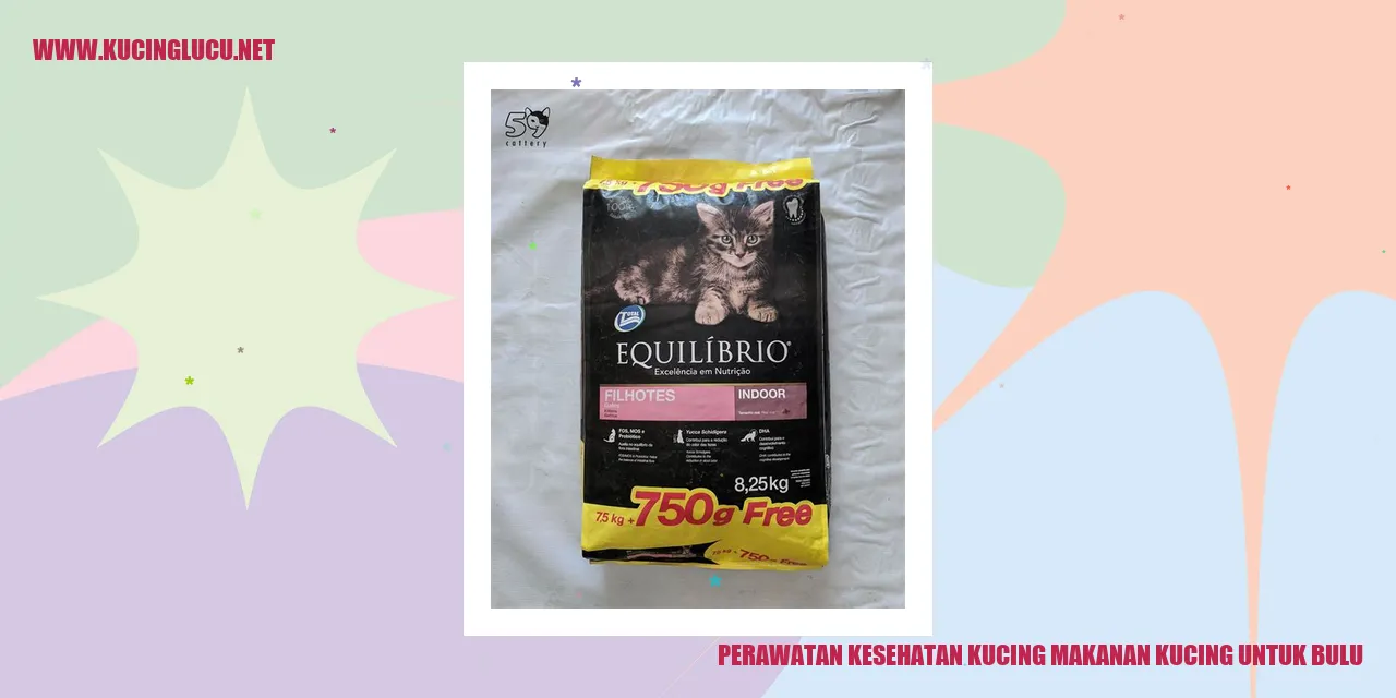 Perawatan Kesehatan Kucing makanan kucing untuk bulu