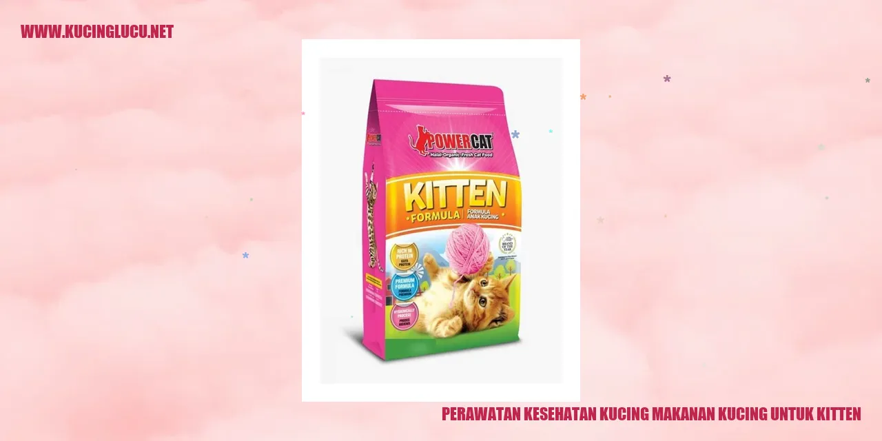 Makanan Kucing untuk Kitten