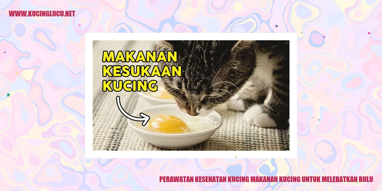 gambar kucing dengan bulu tebal