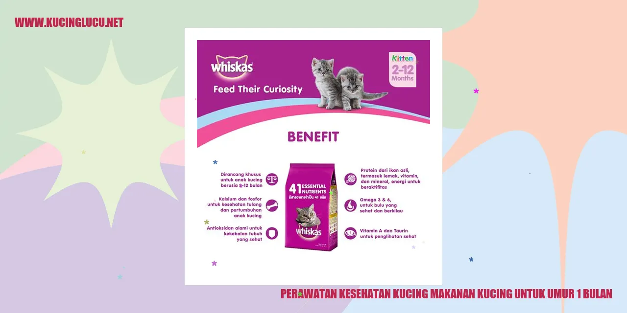 Perawatan Kesehatan Kucing