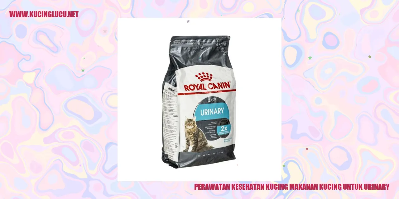 Perawatan Kesehatan Kucing: Makanan Kucing untuk Masalah Saluran Kemih