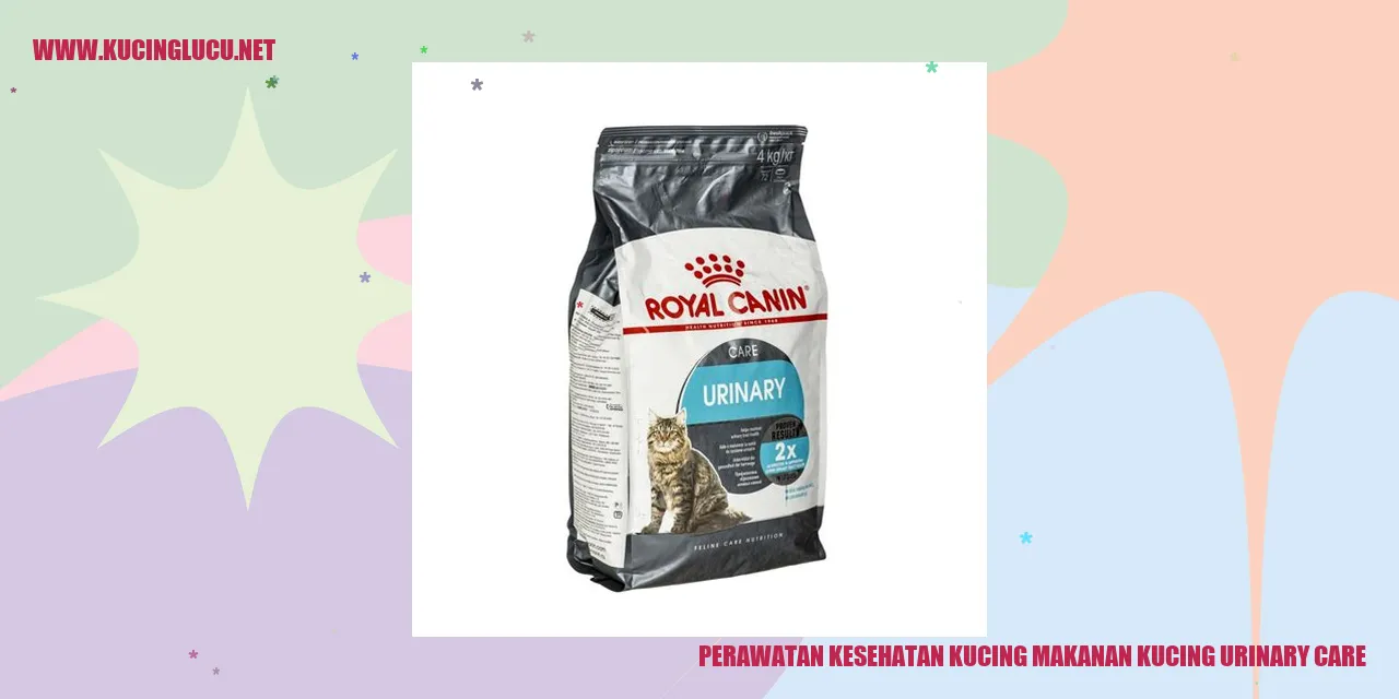 sebuah gambar kucing yang sehat dan bahagia