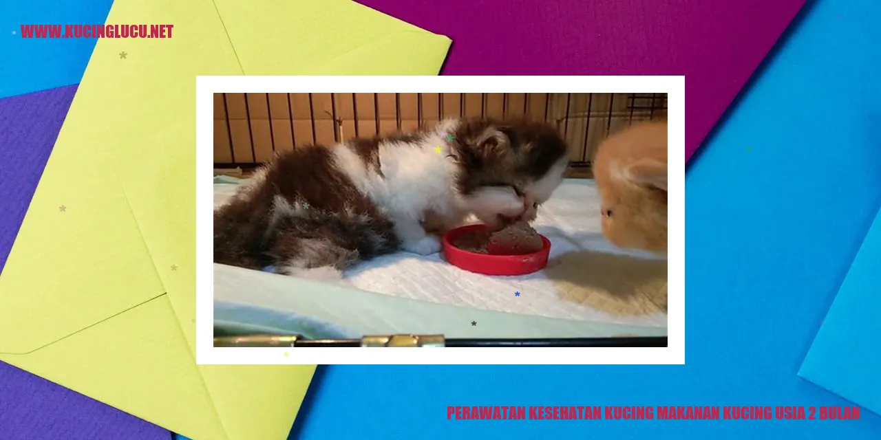 Gambar Kucing Makanan