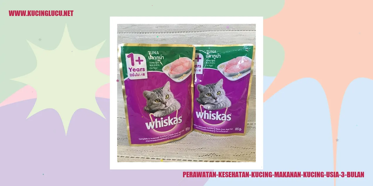 Perawatan Kesehatan Kucing makanan kucing usia 3 bulan