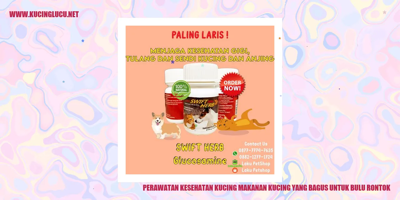 Perawatan Kesehatan Kucing