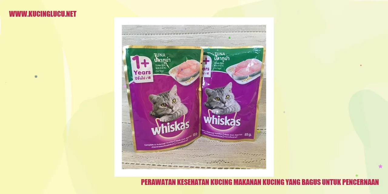 Gambar Kucing