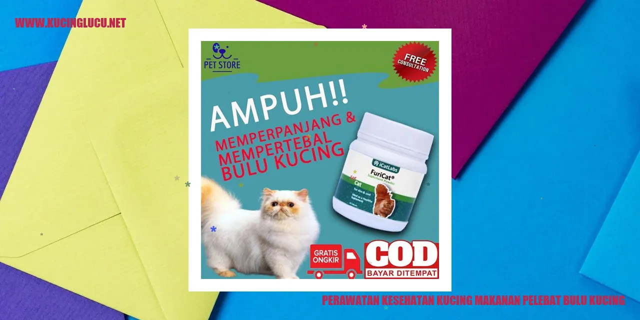 Perawatan Kesehatan Kucing makanan pelebat bulu kucing