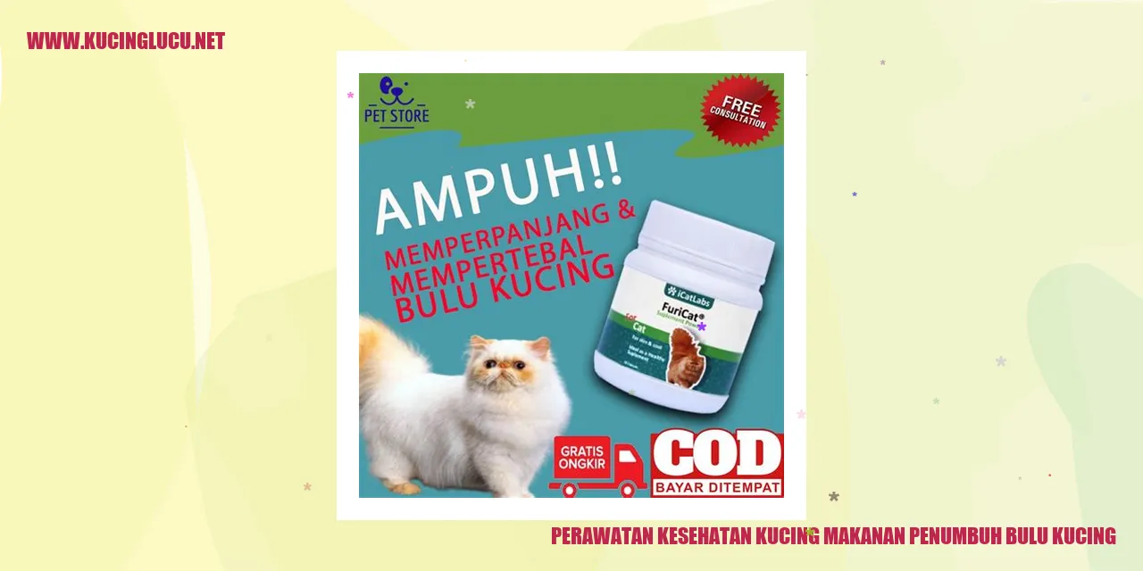 Gambar Kucing dengan Bulu Yang Sehat dan Indah
