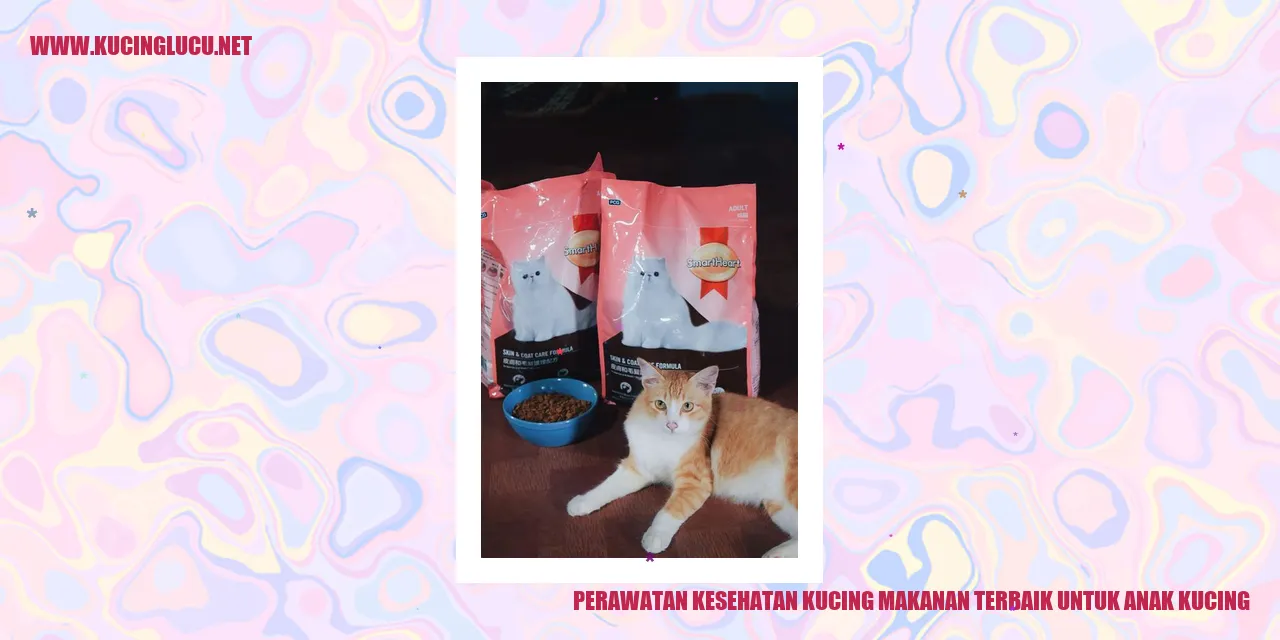 Perawatan Kesehatan Kucing: Pilihan Makanan Terbaik untuk Anak Kucing