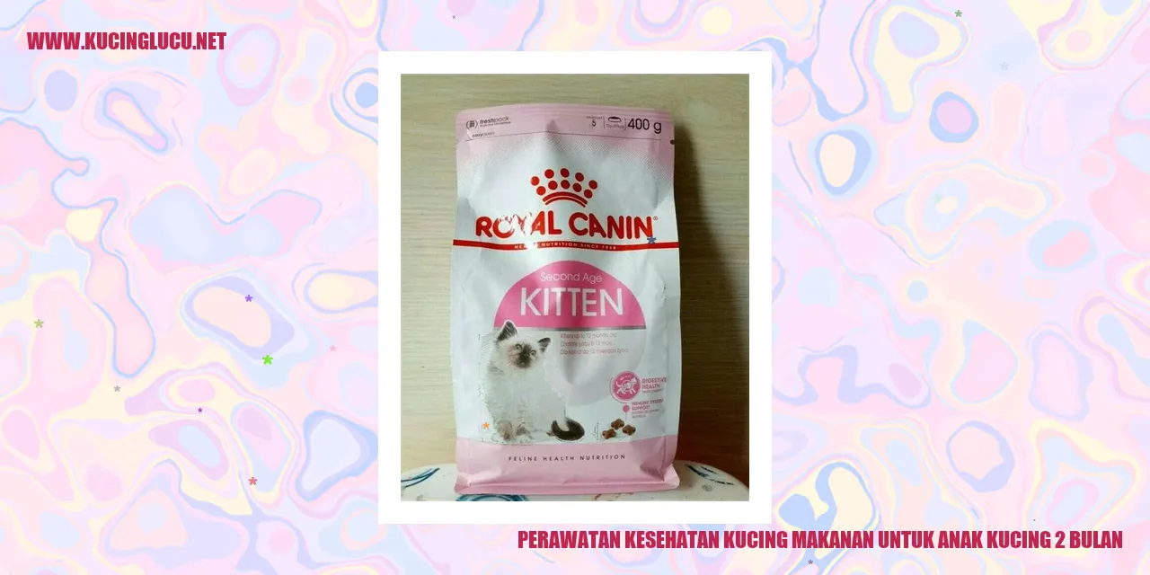 Gambar Kucing yang Sehat