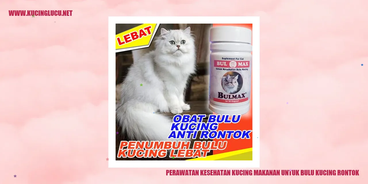 Perawatan Kesehatan Kucing