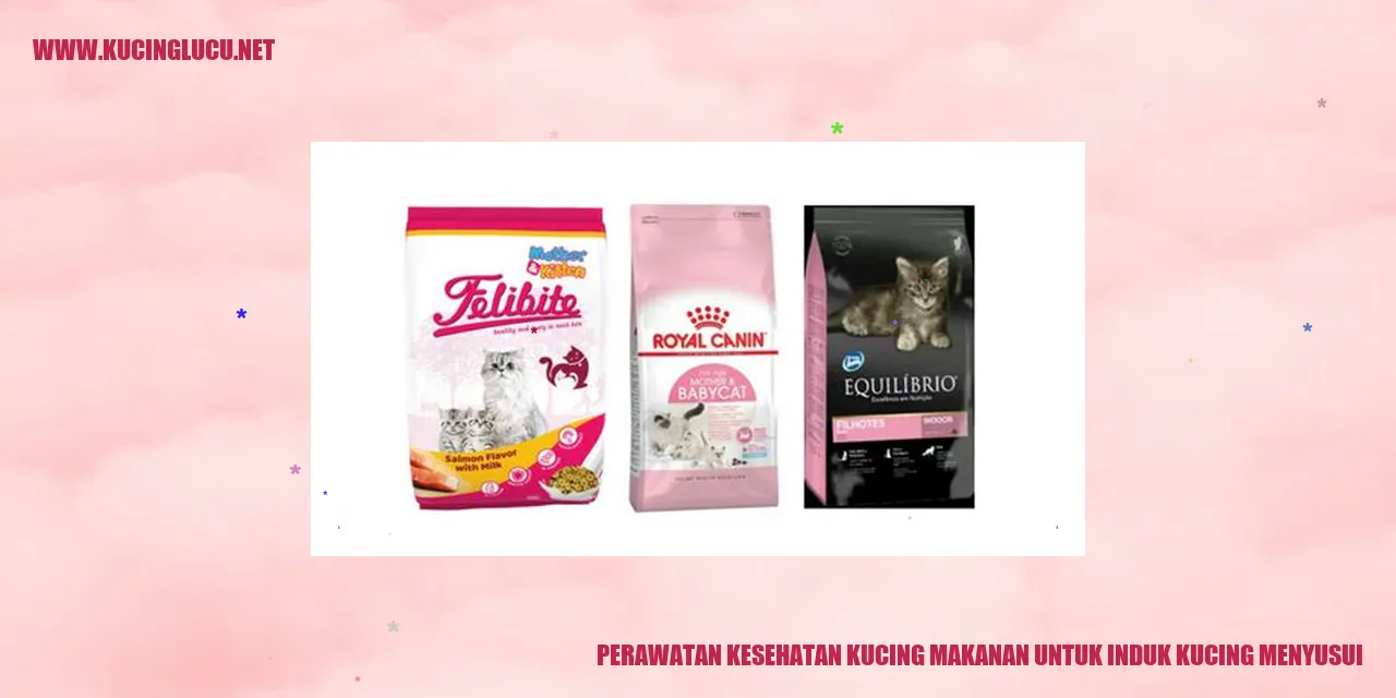 Perawatan Kesehatan Kucing