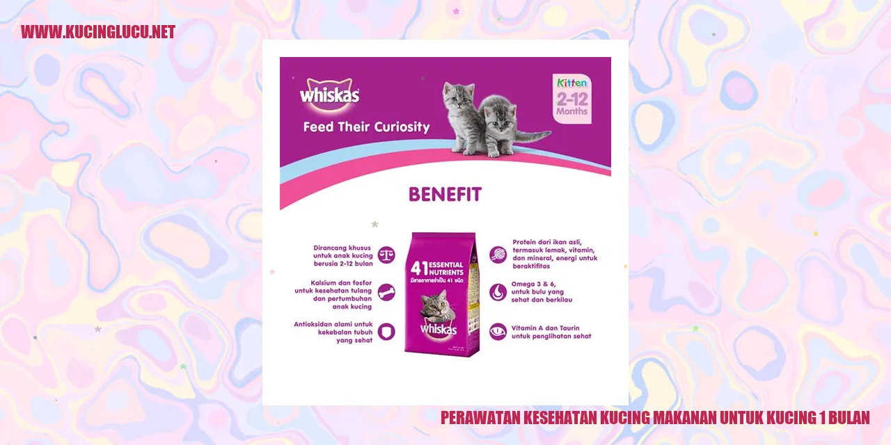Gambar Kucing Sehat