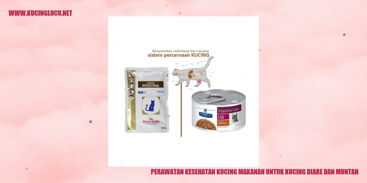 Foto Kucing