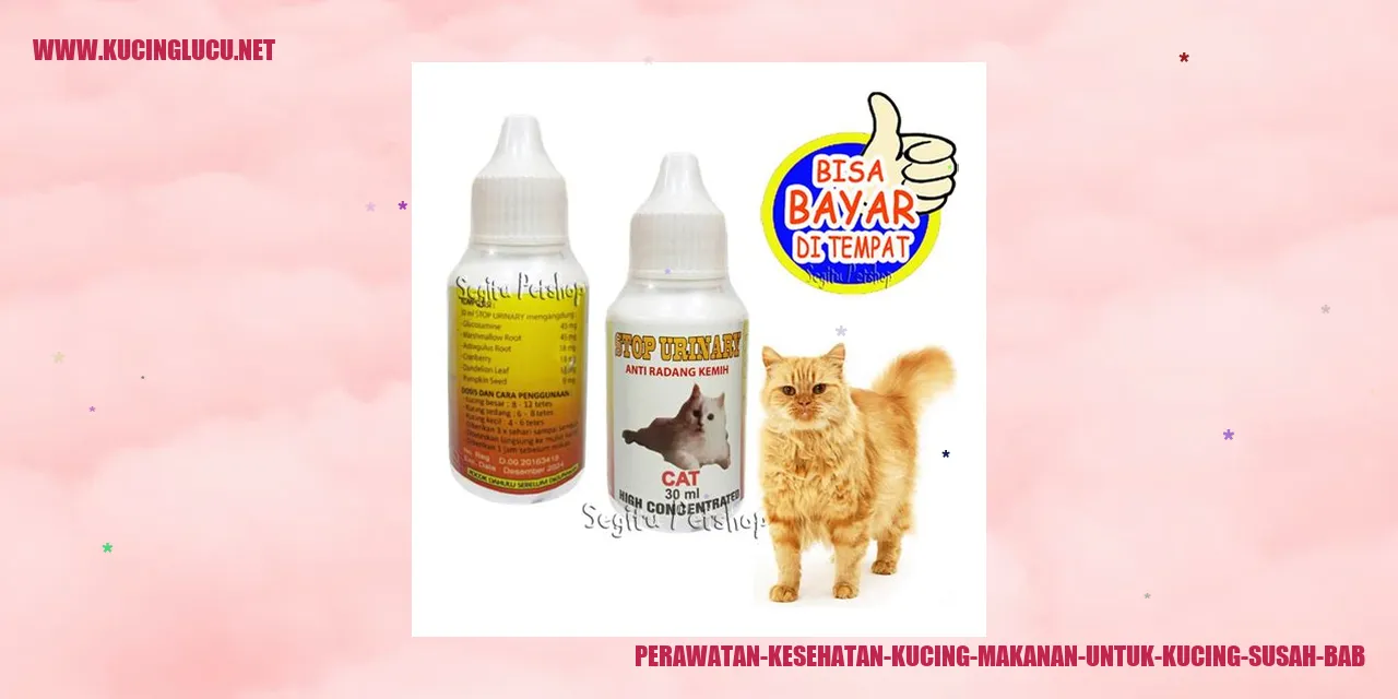 Kucing Sehat
