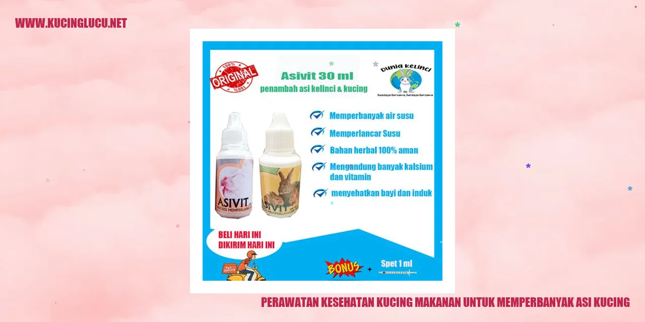 Perawatan Kesehatan Kucing