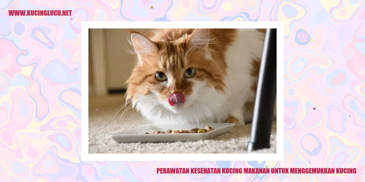 Makanan untuk Menggemukkan Kucing