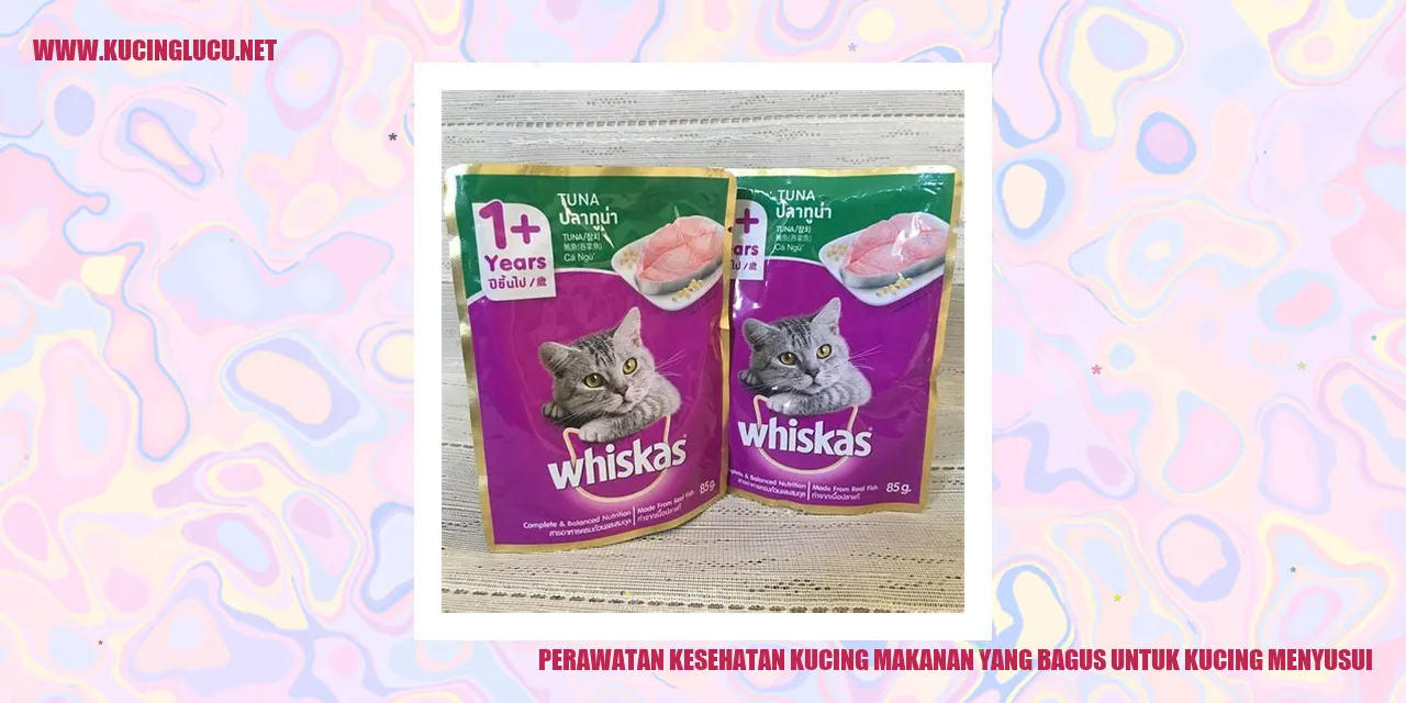 gambar kucing menyusui yang sehat