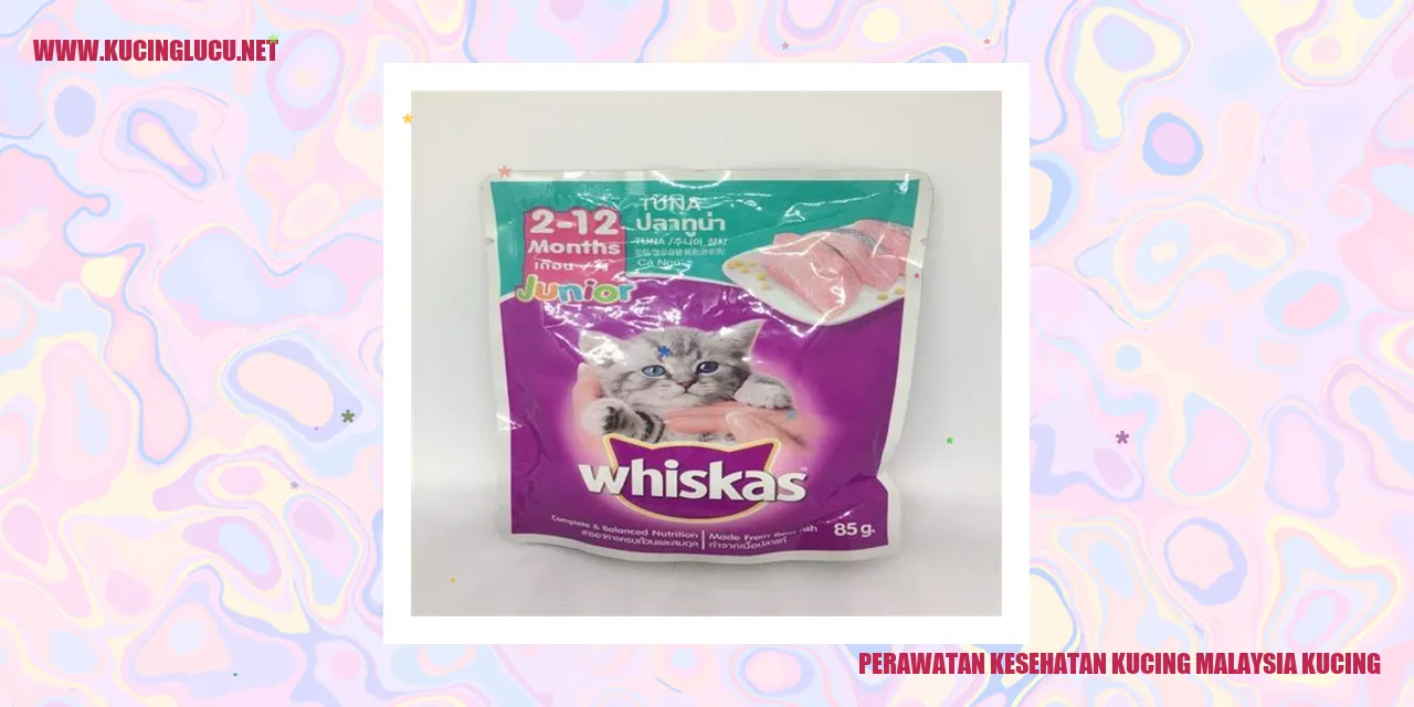 Perawatan Kesehatan Kucing